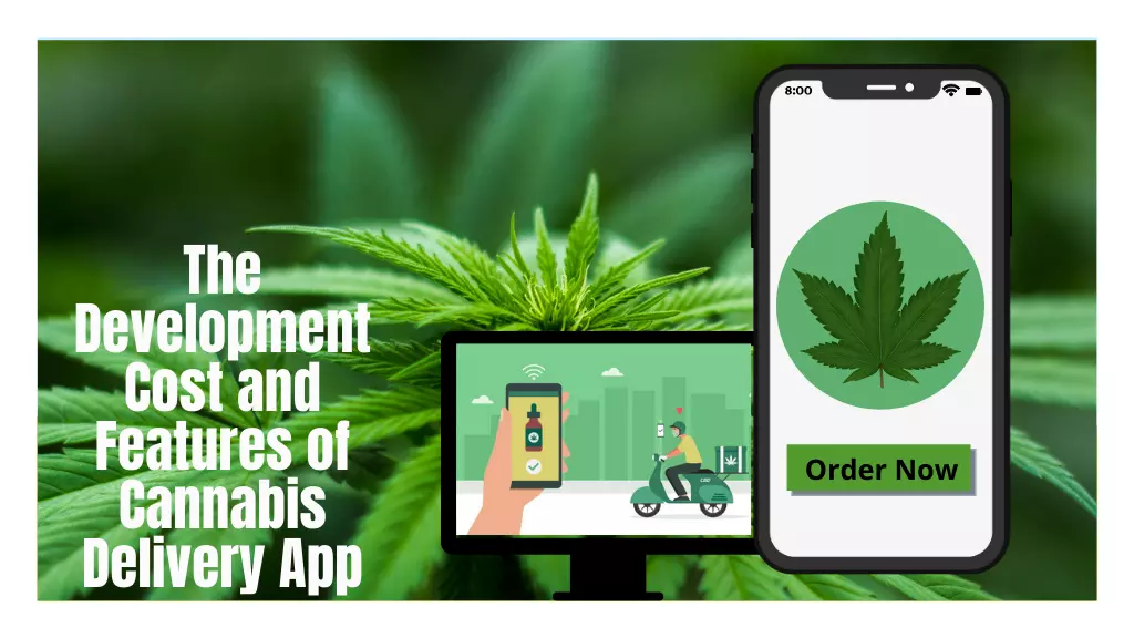 The Development Cost and Features of Cannabis Delivery App 