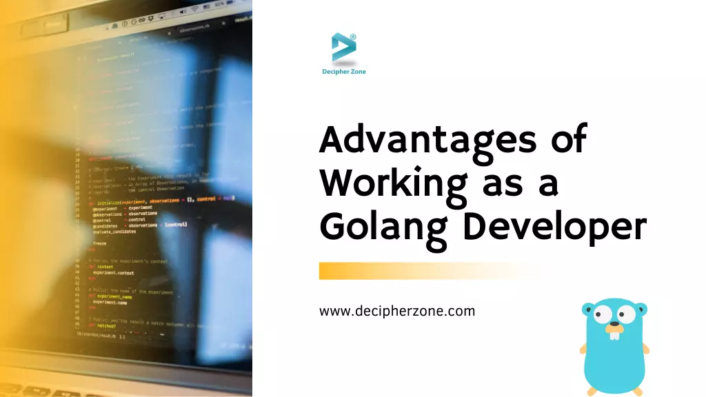 Advantages of Working as a Golang Developer