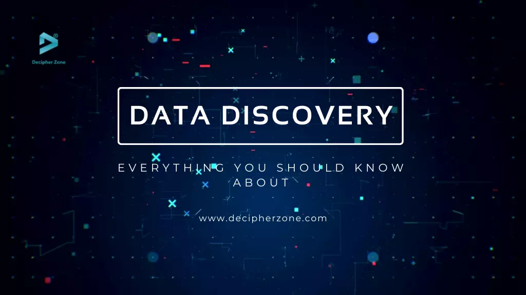 What is Data Discovery