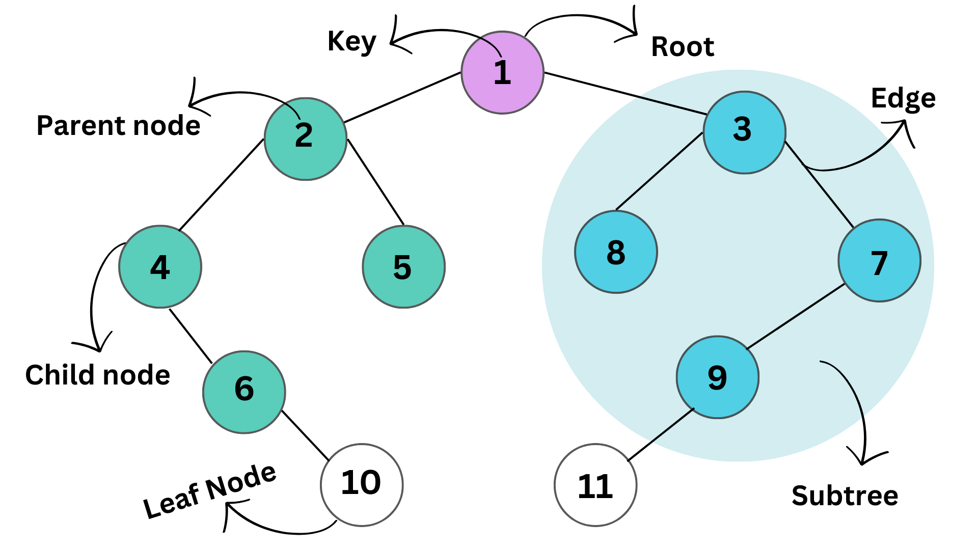 Common Data Structures